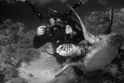 Taking a picture of me taking a picture of you taking a p... by Glenn Poulain 